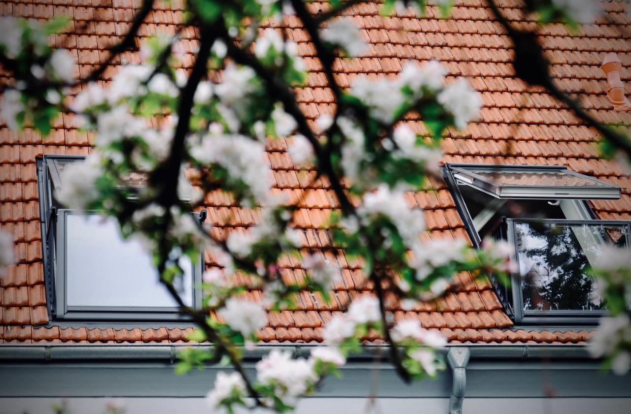 Loewenherz Appartements Bad Bentheim Ngoại thất bức ảnh