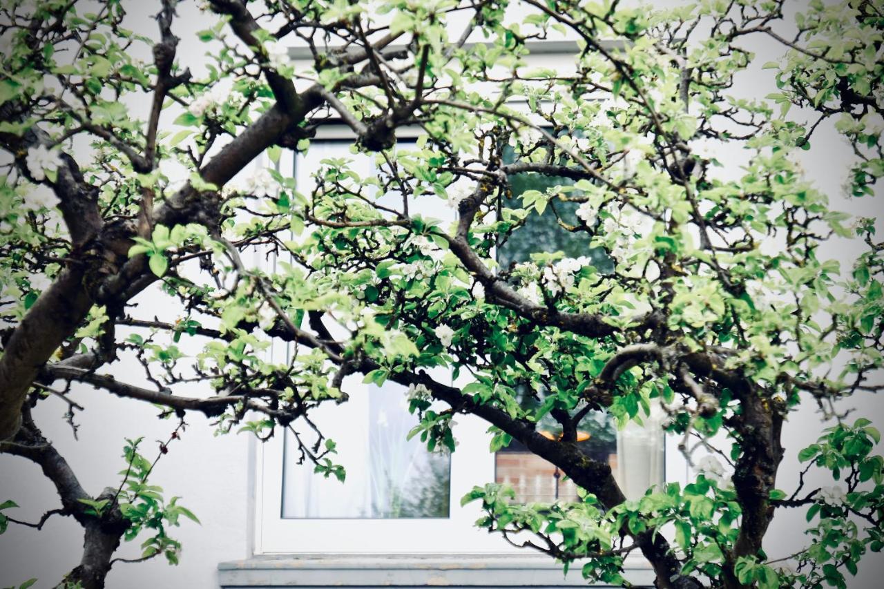 Loewenherz Appartements Bad Bentheim Ngoại thất bức ảnh
